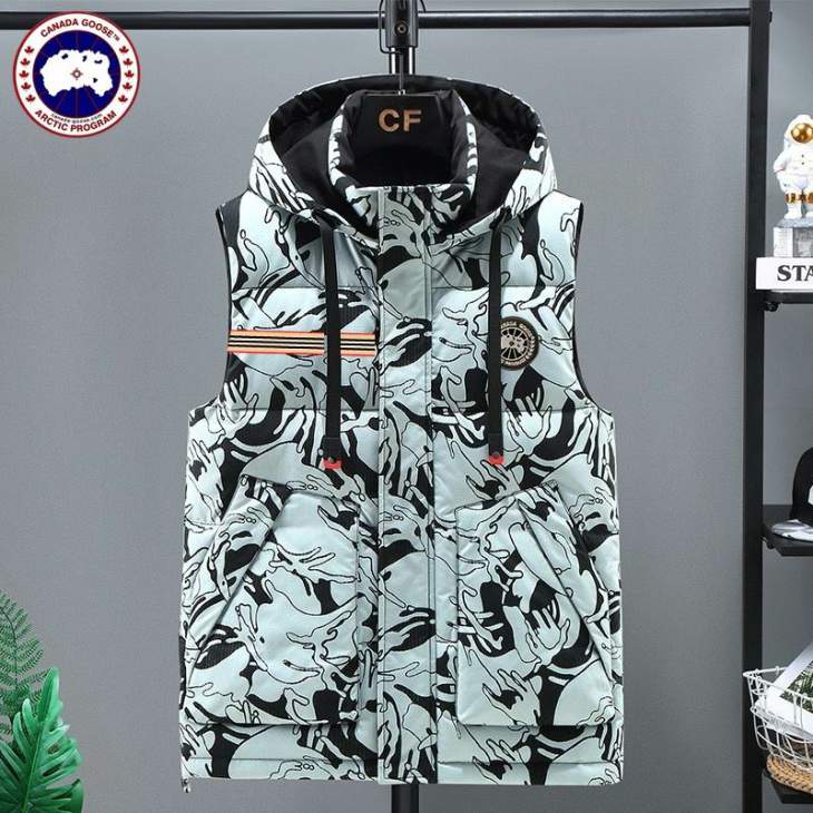 Picture of Canada Goose Down Jackets _SKUCanadaGooseM-3XL12yx19537936